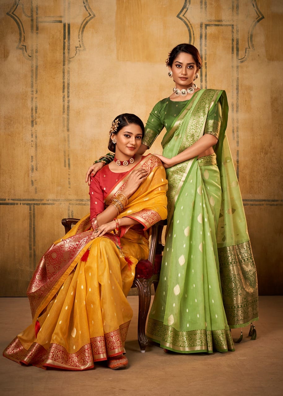 Cloud Grey Banarasi Tissue Silk Saree - Shaaola.com