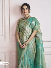 Rajpath  Kingfisher Silk