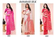 ASTITA  BANARASI SILK