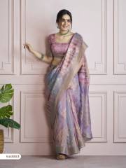 Rajpath  Kingfisher Silk