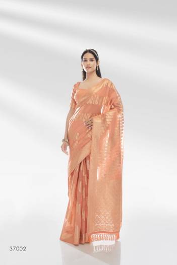 RAJPATH ABUDHAI ORGANZA 37001 TO 37006 DESIGNER PRINTED Banarasi SAREE WHOLESALER IN SURAT