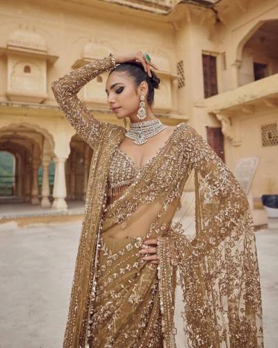 DF 3441 BY DF DESIGNER BOLLYWOOD NET SAREE WHOLESALER IN INDIA