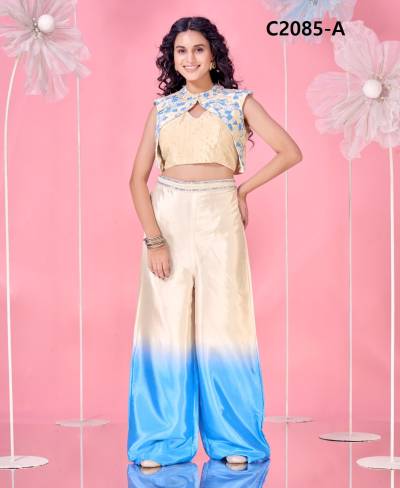 AMOHA C2085A TO C2085 DESIGNER CROP TOP WHOLESALER IN INDIA