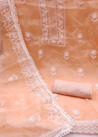 HD 50042 Organza Embroidery Salwar Suit Wholesaler in Surat 