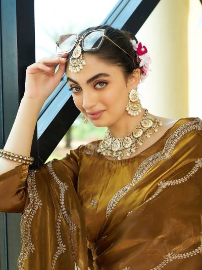 DN 5030 BY SAGAR IMPEX DESIGNER EMBROIDERY SAREE WHOLESALER IN INDIA