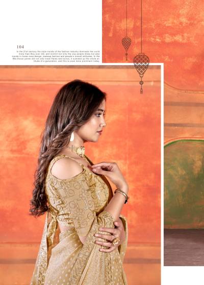 PIHU BY STAVAN DESIGNER CHIFFON SAREE WHOLESALER IN INDIA