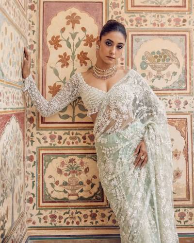 DF 3437 BY DF DESIGNER BOLLYWOOD NET SAREE WHOLESALER IN INDIA